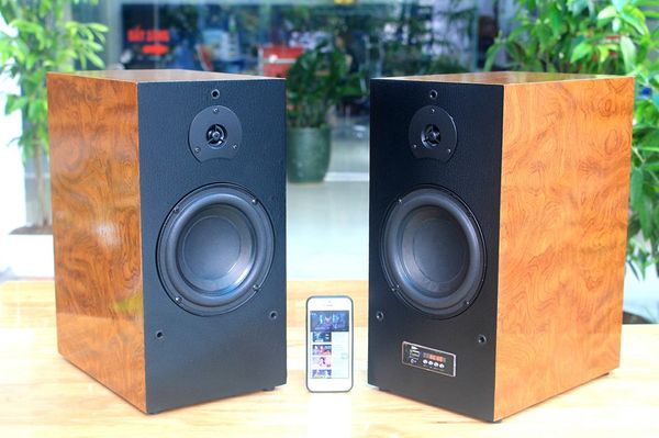 Loa HIFI W167