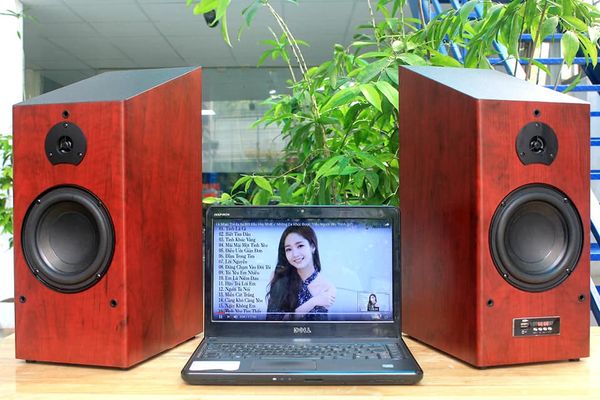 Loa HIFI W166