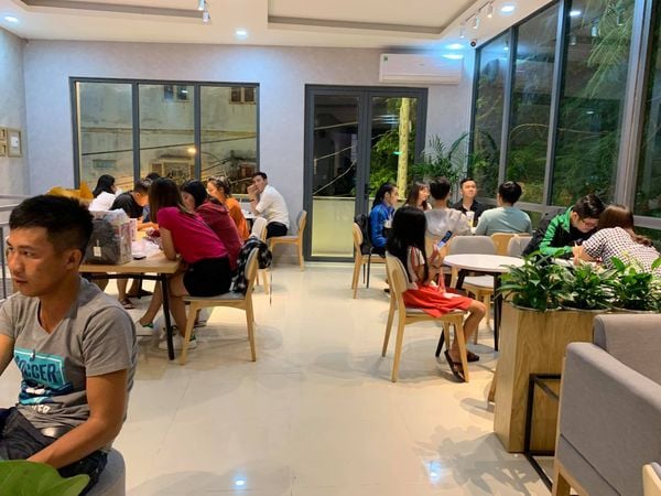 Loa Goldsound cho ToCoToCo đường số 10, phường 13, Quận 6,  Amply 4 - 6 vùng âm lượng, loa được thiết kế riêng cho quán, bật lớn không tạp âm, miễn phí công lắp đặt, bảo hành dài hạn 5 năm