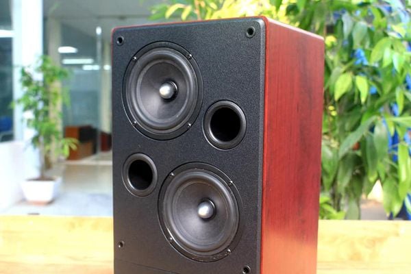 Loa đơn TOÀN DẢI W110 Bluetooth Goldsound