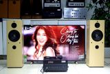 Dàn loa cây karaoke gia đình V610 Grand ( 01 âm ly 380w + cặp V610)