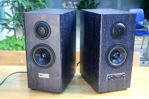 Loa HIFI W85