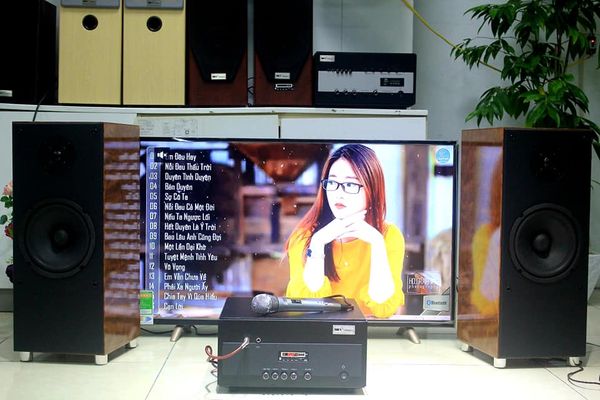 Dàn karaoke gia đình: V385 (Âm ly 900w+ cặp  V385) Goldsound