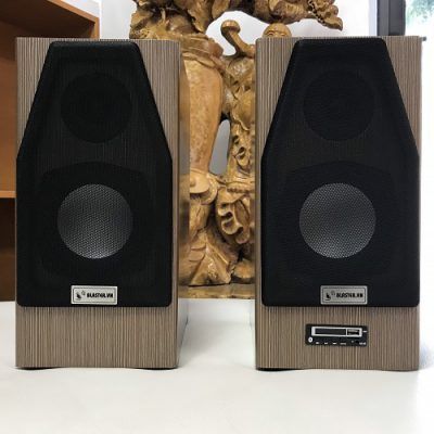 Loa HIFI H130W