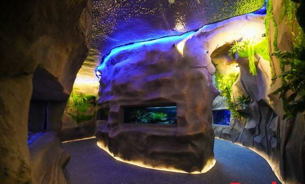 Loa Goldsound cho Thủy Cung Không Nước Himent Vietnam - AEON MALL Hà Đông, amply 2 vùng 380w, bluetooth 5.0, loa V24C- 24w, loa được thiết kế riêng cho quán, bật lớn không tạp âm, miễn phí công lắp đặt, bảo hành dài hạn 5 năm.