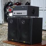 Loa vệ tinh V100 - 100w (1 loa)