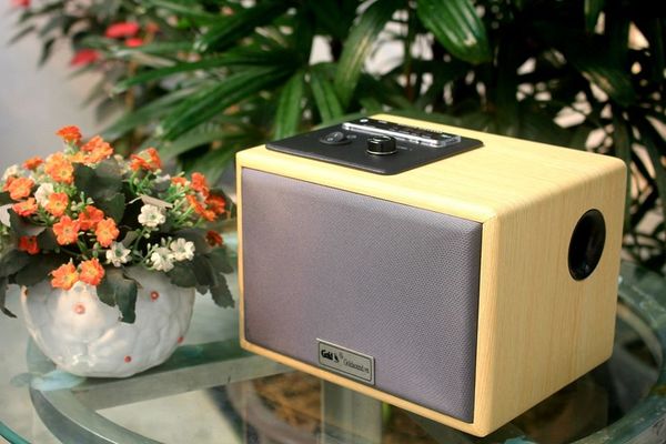 Loa Hifi thùng gỗ W100