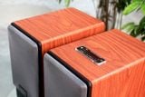 Loa Goldsound Gs51 Basic 4