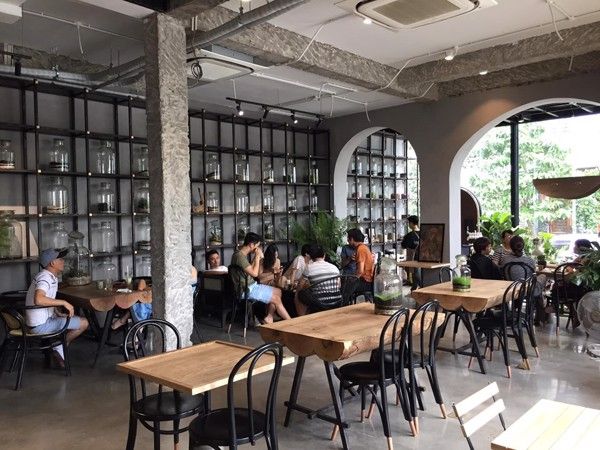 Loa thông báo, phát nhạc nền tự động cho quán cafe Tropical Forest, Amply 4 - 6 vùng âm lượng, loa được thiết kế riêng cho quán, bật lớn không tạp âm, miễn phí công lắp đặt, bảo hành dài hạn 5 năm.