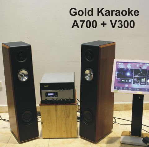 Dàn Gold Karaoke A700 (Bluetooth) + 2 Loa Cây V300