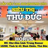 Loa Goldsound cho HORUS - Siêu Thị Đồng Giá 19K, TP.HCM, loa được thiết kế riêng cho quán, bật lớn không tạp âm, miễn phí công lắp đặt, bảo hành dài hạn 5 năm