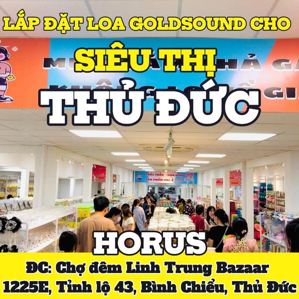 Loa Goldsound cho HORUS - Siêu Thị Đồng Giá 19K, TP.HCM, loa được thiết kế riêng cho quán, bật lớn không tạp âm, miễn phí công lắp đặt, bảo hành dài hạn 5 năm