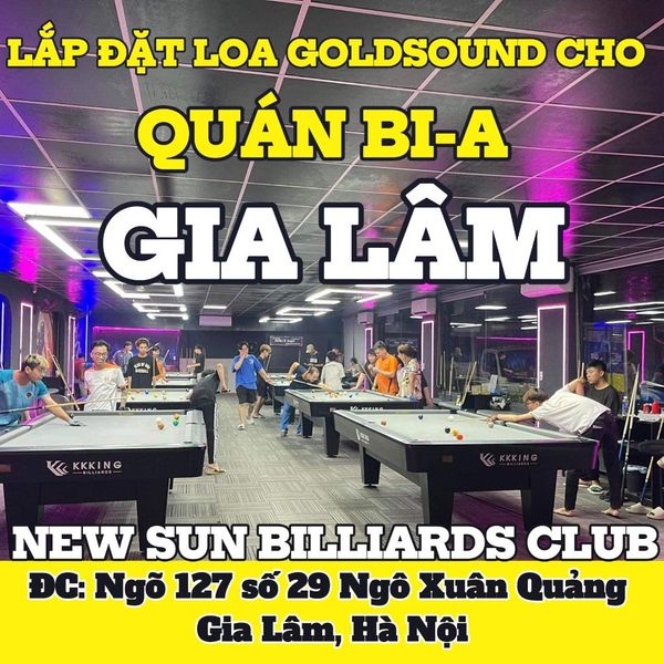 Loa Goldsound cho New Sun Billiards Club, Hà Nội, loa được thiết kế riêng cho quán, bật lớn không tạp âm, miễn phí công lắp đặt, bảo hành dài hạn 5 năm
