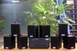 [Diện tích 120m2 + 2 Kênh] Loa thông báo, loa phát nhạc nền tự động Gold4cafe 8.0 (01 amply + 08 loa treo tường), Amply 2 vùng âm lượng, loa được thiết kế riêng cho quán, bật lớn không tạp âm, bảo hành dài hạn 5 năm.