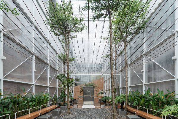 Loa thông báo, phát nhạc nền tự động cho quán cafe Tropical Forest, Amply 4 - 6 vùng âm lượng, loa được thiết kế riêng cho quán, bật lớn không tạp âm, miễn phí công lắp đặt, bảo hành dài hạn 5 năm.