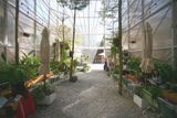 Loa cho quán cafe Tropical Forest, Mai Hắc Đế , Amply 4 - 6 vùng âm lượng, loa được thiết kế riêng cho quán, bật lớn không tạp âm, miễn phí công lắp đặt, bảo hành dài hạn 5 năm.