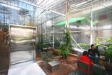 Loa cho quán cafe Tropical Forest, Mai Hắc Đế , Amply 4 - 6 vùng âm lượng, loa được thiết kế riêng cho quán, bật lớn không tạp âm, miễn phí công lắp đặt, bảo hành dài hạn 5 năm.