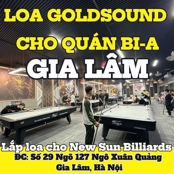 Loa Goldsound cho tầng 2 New Sun Billiards, Hà Nội, loa được thiết kế riêng cho quán, bật lớn không tạp âm, miễn phí công lắp đặt, bảo hành dài hạn 5 năm