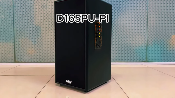 Loa di động D165PU-PI, pin 4-6h, công suất 165w, bass 20 cm, treble 10 cm, bluetooth 5.0, cổng cắm Micro, cổng rca, khe usb, thiết kế loa thùng gỗ cao 57 cm, rộng 28 cm, sâu 30 cm. Bảo hành 12 tháng