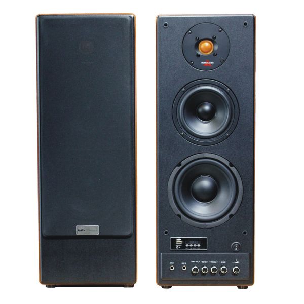 GoldHifi phiên bản mới - 2 cổng Mic