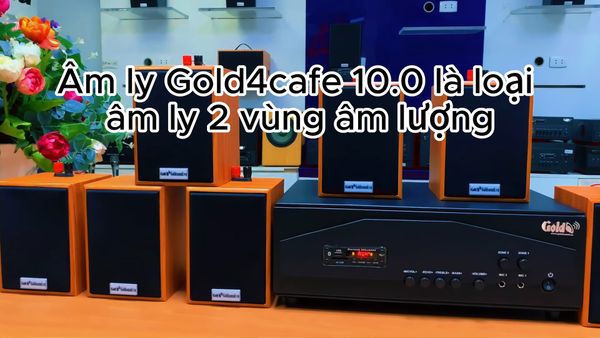 Loa thông báo phát nhạc nền tự động Gold4cafe 10.0 màu vân gỗ đỏ (10 loa + 1 amply), Amply 1200w - 2 vùng âm lượng, loa được thiết kế riêng cho quán, bật lớn không tạp âm, bảo hành dài hạn 5 năm