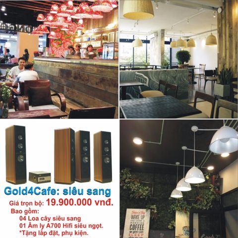 Loa cafe, Loa nhà hàng: Gold4cafe 04 loa cây V500 + 01 Âm ly A700