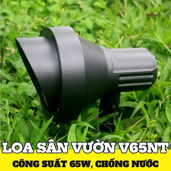 Loa sân vườn V65NT Goldsound (có chân cắm, công suất 65w)