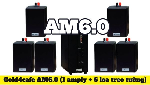 Dàn loa thông báo phát nhạc nền tự động Gold4cafe AM6.0 (01 amply + 06 loa treo tường), loa được thiết kế riêng cho quán, bật lớn không tạp âm, bảo hành dài hạn 5 năm.