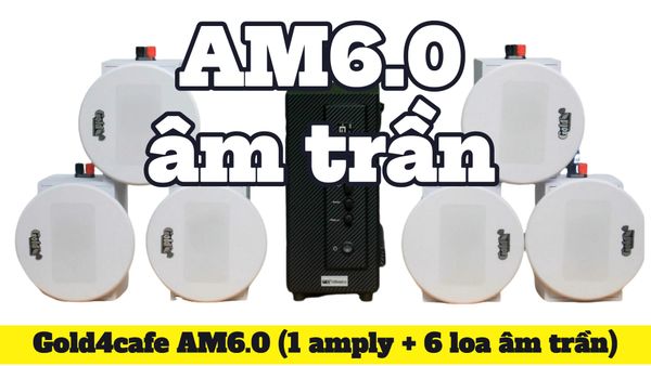[Diện tích 80m2] Dàn âm trần thông báo, loa phát nhạc nền tự động Gold4cafe AM6.0 Goldsound (01 Amply + 6 loa âm trần 13w), loa được thiết kế riêng cho quán, bật lớn không tạp âm, bảo hành dài hạn 5 năm.