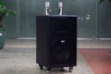 Loa kéo D750 Goldsound (Bass 30cm, kèm 2 Micro, pin sạc) chơi tốt ở mọi không gian: Gia đình, quán cafe, cửa hàng, khu vui chơi, lớp học, trung tâm đào tạo, các buổi dã ngoại, party, những buổi biểu diễn đường phố