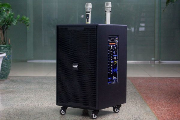 Loa kéo D750 Goldsound (Bass 30cm, kèm 2 Micro, pin sạc) chơi tốt ở mọi không gian: Gia đình, quán cafe, cửa hàng, khu vui chơi, lớp học, trung tâm đào tạo, các buổi dã ngoại, party, những buổi biểu diễn đường phố