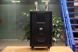 Loa kéo D750 Goldsound (Bass 30cm, kèm 2 Micro, pin sạc) chơi tốt ở mọi không gian: Gia đình, quán cafe, cửa hàng, khu vui chơi, lớp học, trung tâm đào tạo, các buổi dã ngoại, party, những buổi biểu diễn đường phố