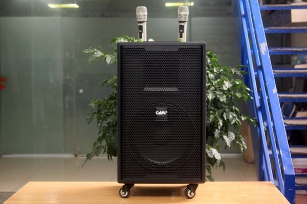 Loa kéo D750 Goldsound (Bass 30cm, kèm 2 Micro, pin sạc) chơi tốt ở mọi không gian: Gia đình, quán cafe, cửa hàng, khu vui chơi, lớp học, trung tâm đào tạo, các buổi dã ngoại, party, những buổi biểu diễn đường phố
