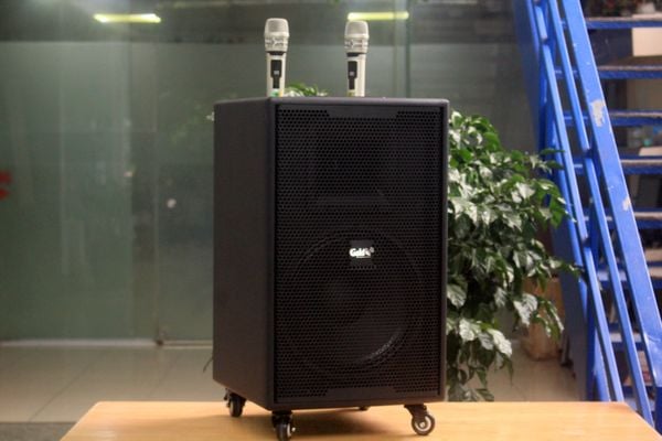 Loa kéo D750 Goldsound (Bass 30cm, kèm 2 Micro, pin sạc) chơi tốt ở mọi không gian: Gia đình, quán cafe, cửa hàng, khu vui chơi, lớp học, trung tâm đào tạo, các buổi dã ngoại, party, những buổi biểu diễn đường phố