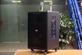 Loa kéo D750 Goldsound (Bass 30cm, kèm 2 Micro, pin sạc) chơi tốt ở mọi không gian: Gia đình, quán cafe, cửa hàng, khu vui chơi, lớp học, trung tâm đào tạo, các buổi dã ngoại, party, những buổi biểu diễn đường phố