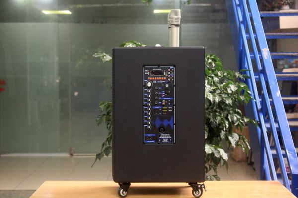 Loa kéo D750 Goldsound (Bass 30cm, kèm 2 Micro, pin sạc) chơi tốt ở mọi không gian: Gia đình, quán cafe, cửa hàng, khu vui chơi, lớp học, trung tâm đào tạo, các buổi dã ngoại, party, những buổi biểu diễn đường phố