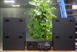 [Diện tích 100m2 + 02 Kênh] Amply A918PU - 2K Goldsound 2 vùng âm lượng 1200w + 4 loa Goldsound V130 - 130w, loa được thiết kế riêng cho quán, bật lớn không tạp âm, miễn phí công lắp đặt, bảo hành dài hạn 5 năm.