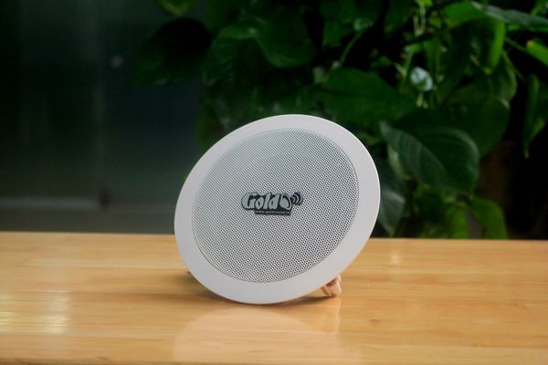 Loa âm trần VAT15_TH Goldsound (Số lượng 01 loa), Bass 10 cm, công suất thực 15w, Thiết kế hình tròn, hoàn toàn màu trắng, sang trọng, độ thẩm mỹ cao