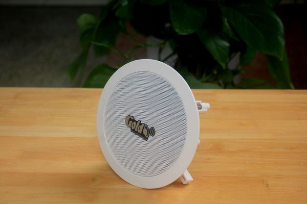 Loa vệ tinh âm trần VAT15_SG Goldsound (Số lượng 01 loa), Bass 10 cm, công suất thực 15w, Thiết kế hình tròn, hoàn toàn màu trắng, sang trọng, độ thẩm mỹ cao