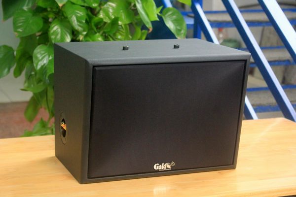 TOP 5 loa sân Pickleball tốt nhất thị trường