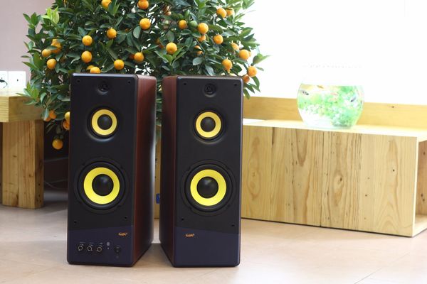 Loa GoldHifi 200w - Bluetooth