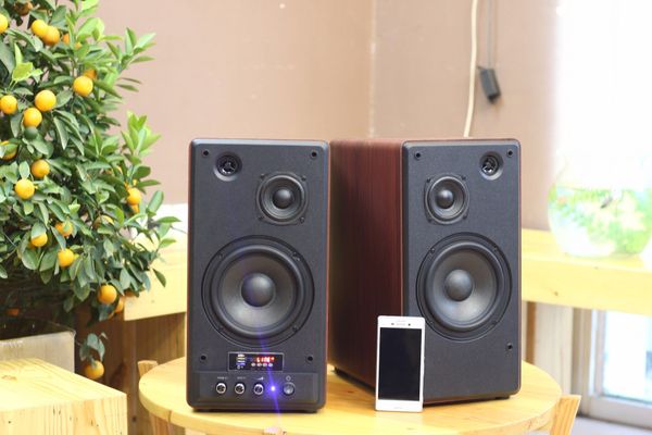 Loa HIFI GS31 2.0 Pro 3