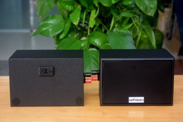 Loa vệ tinh V101 (số lượng 01 loa) công suất 15w, bass 3 inch, loa quán cafe, thông báo tòa nhà, nhà xưởng, PCCC, thiết kế sang trọng, độ thẩm mỹ cao