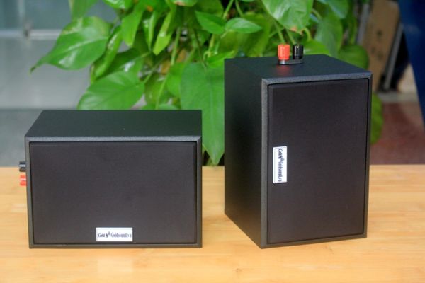 Loa vệ tinh V101 (số lượng 01 loa) công suất 15w, bass 3 inch, loa quán cafe, thông báo tòa nhà, nhà xưởng, PCCC, thiết kế sang trọng, độ thẩm mỹ cao