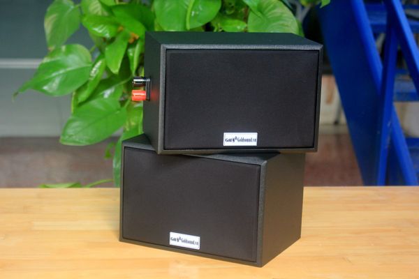 Loa vệ tinh V101 (số lượng 01 loa) công suất 15w, bass 3 inch, loa quán cafe, thông báo tòa nhà, nhà xưởng, PCCC, thiết kế sang trọng, độ thẩm mỹ cao