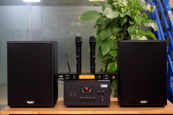Dàn KARAOKE GOLD-230 (2 loa 230w + 1 amply 900w + 2 Micro không dây)