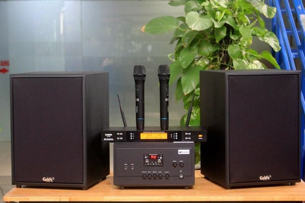 Dàn KARAOKE GOLD-230 (2 loa 230w + 1 amply 900w + 2 Micro không dây)