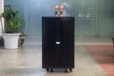 Loa kéo D550 Goldsound (Bass 40 cm, 550w, kèm 2 Micro)