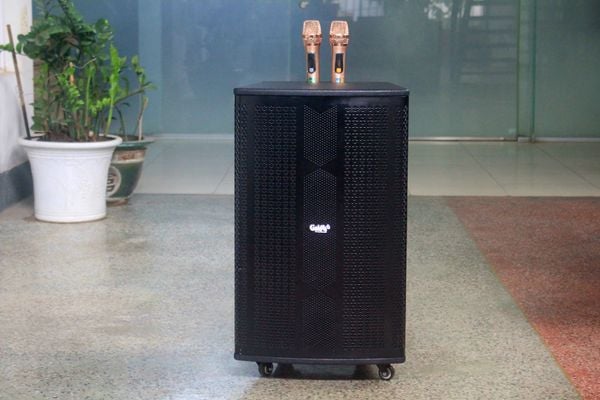 Loa kéo D550 Goldsound (Bass 40 cm, 550w, kèm 2 Micro)
