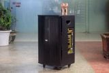 Loa kéo D550 Goldsound (Bass 40 cm, 550w, kèm 2 Micro)